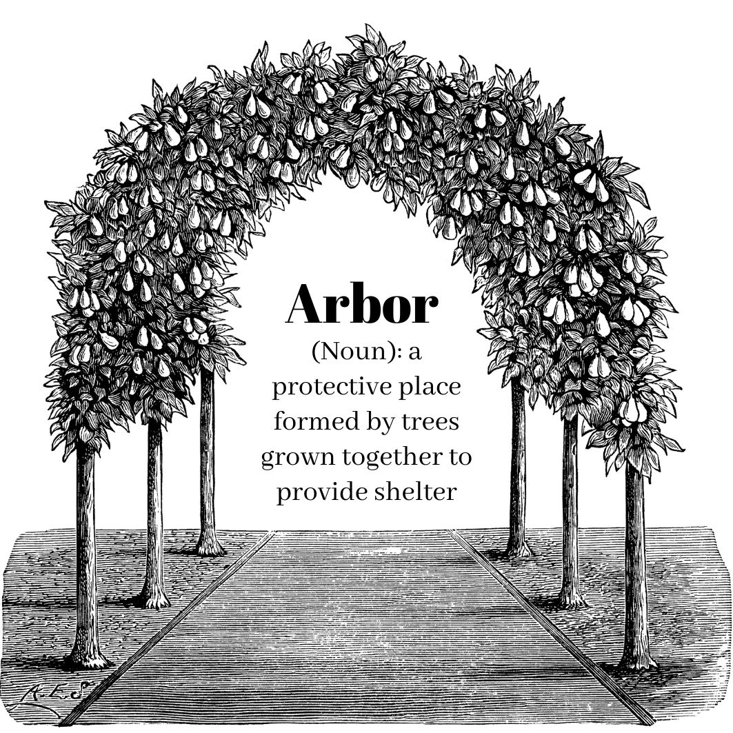 Couples Therapist, Couples' Communication, Therapy The Arbor Denver
